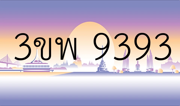 3ขพ 9393